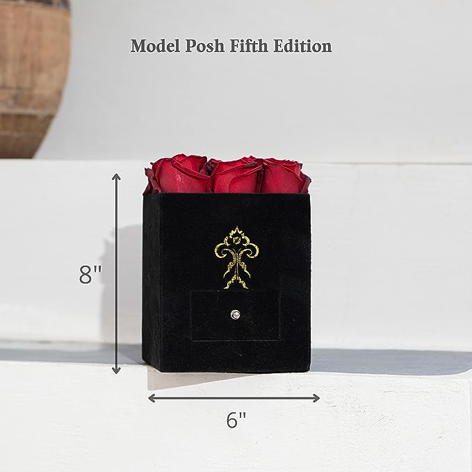 Model Posh - 9 Roses