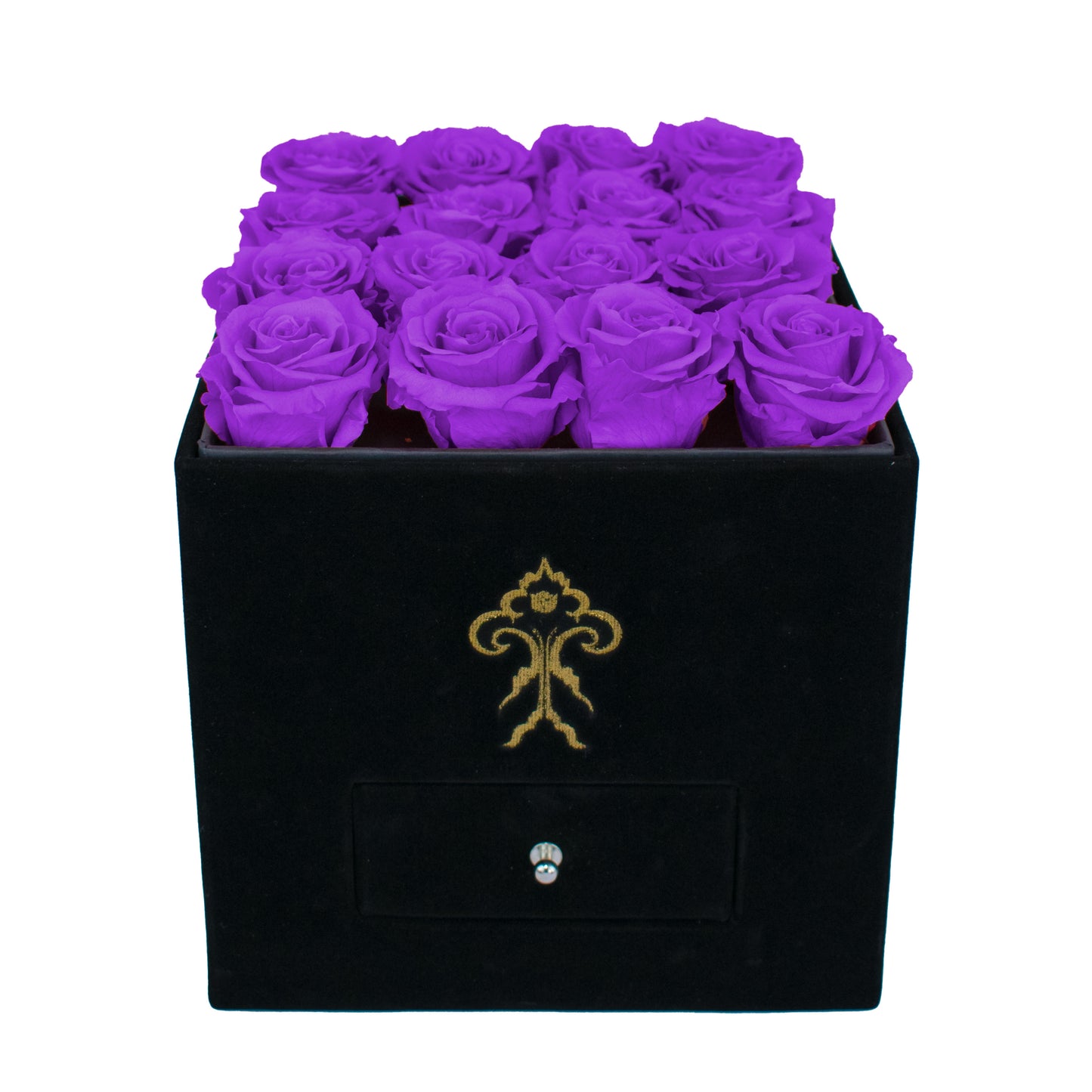 Model Posh - 16 Roses