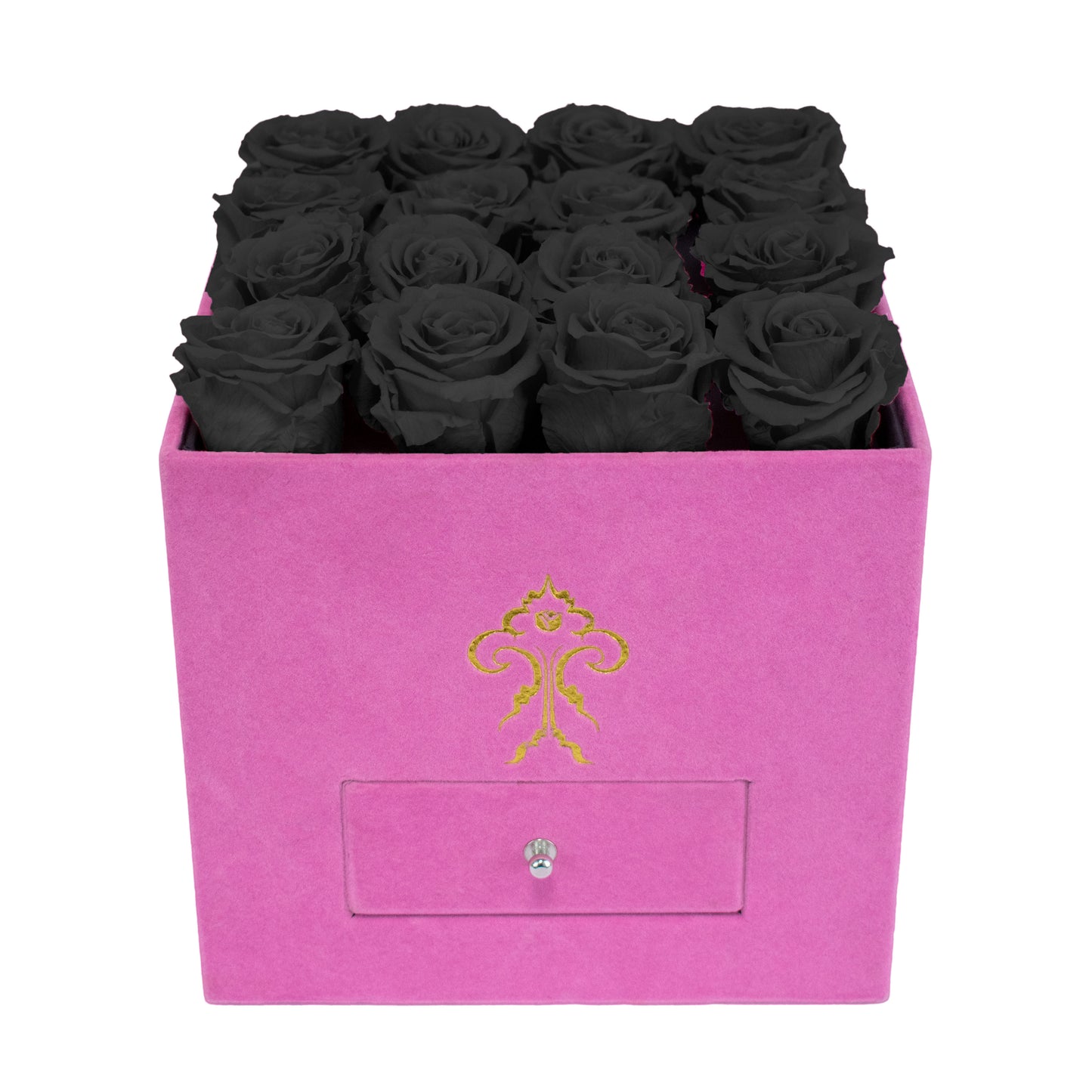 Model Posh - 16 Roses